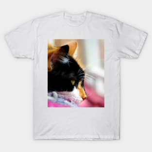 Day Dreaming T-Shirt